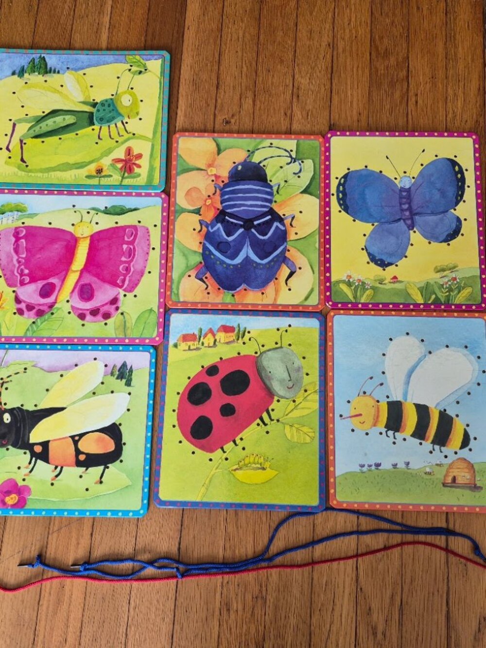 7 Bug Themed Lacing Cards